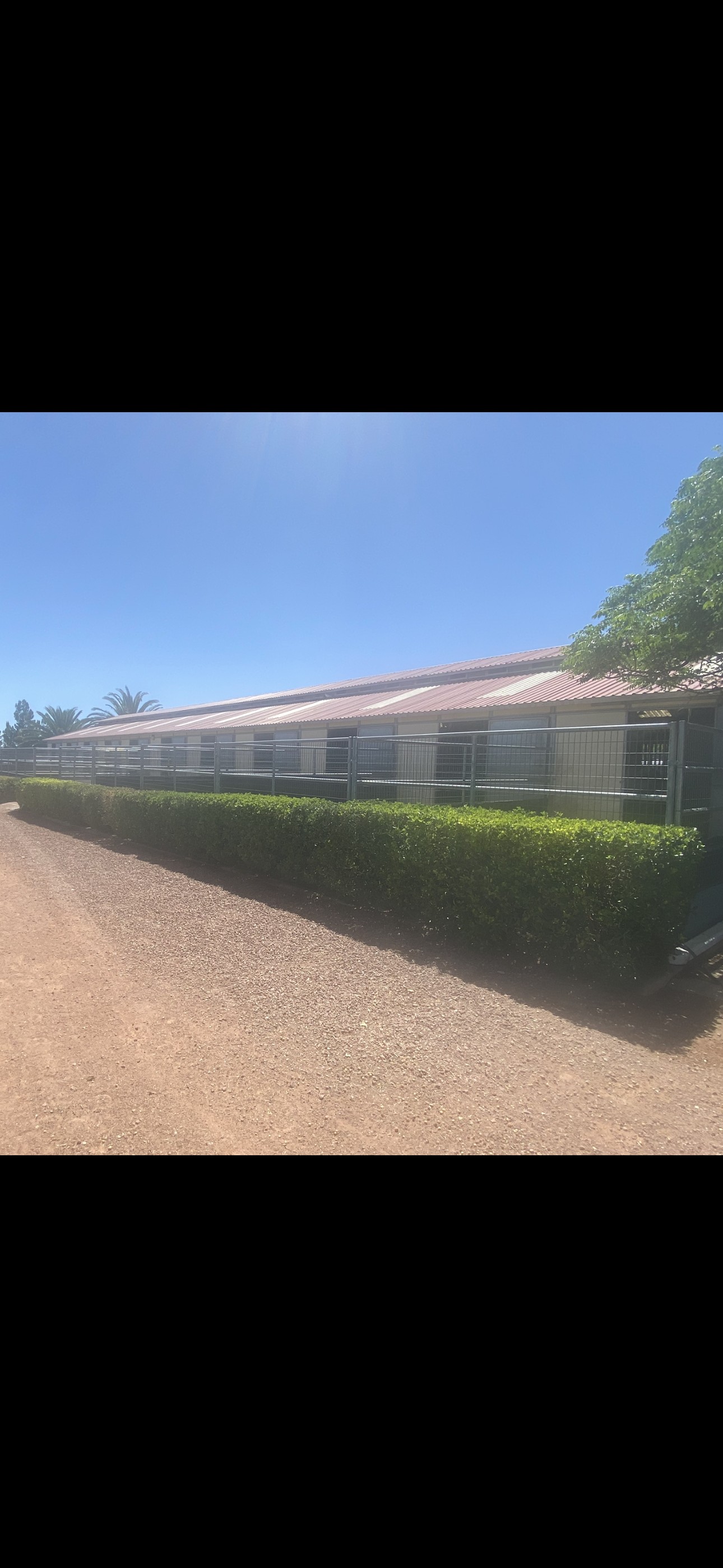 Windrock Farm big barn exterior
